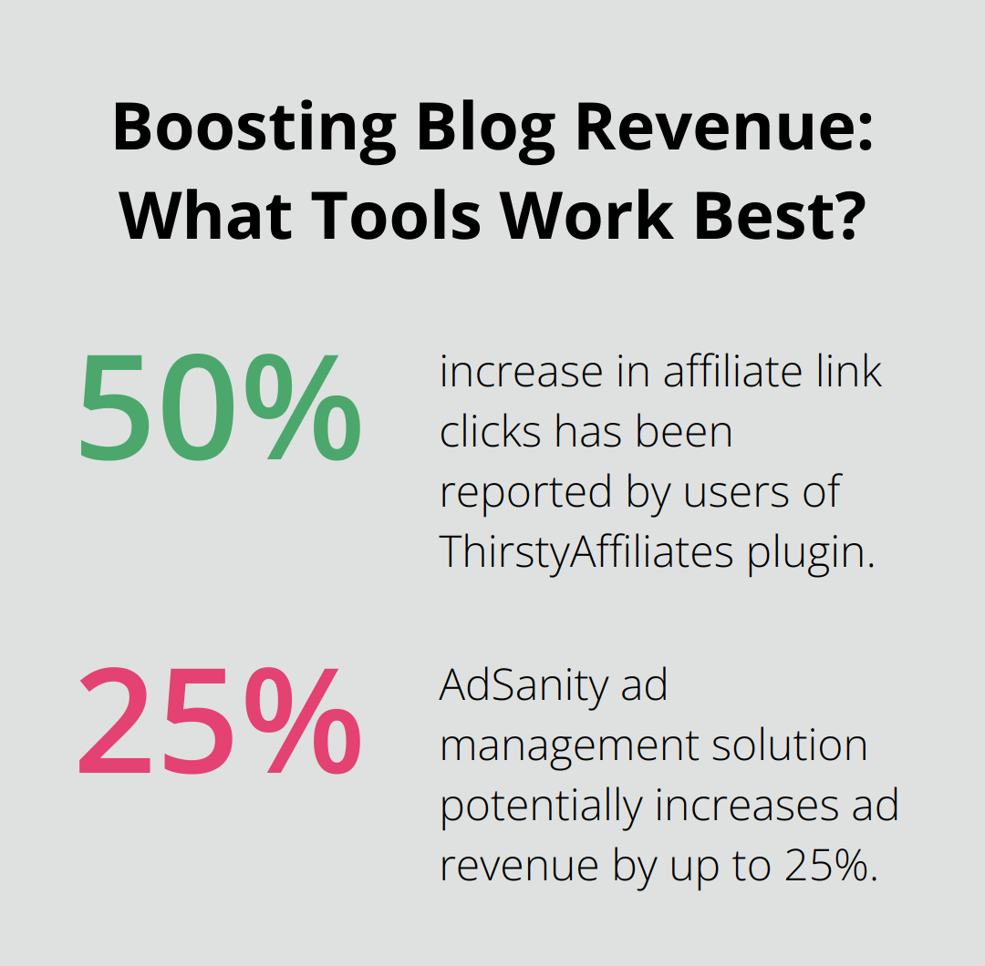 Infographic: Boosting Blog Revenue: What Tools Work Best?