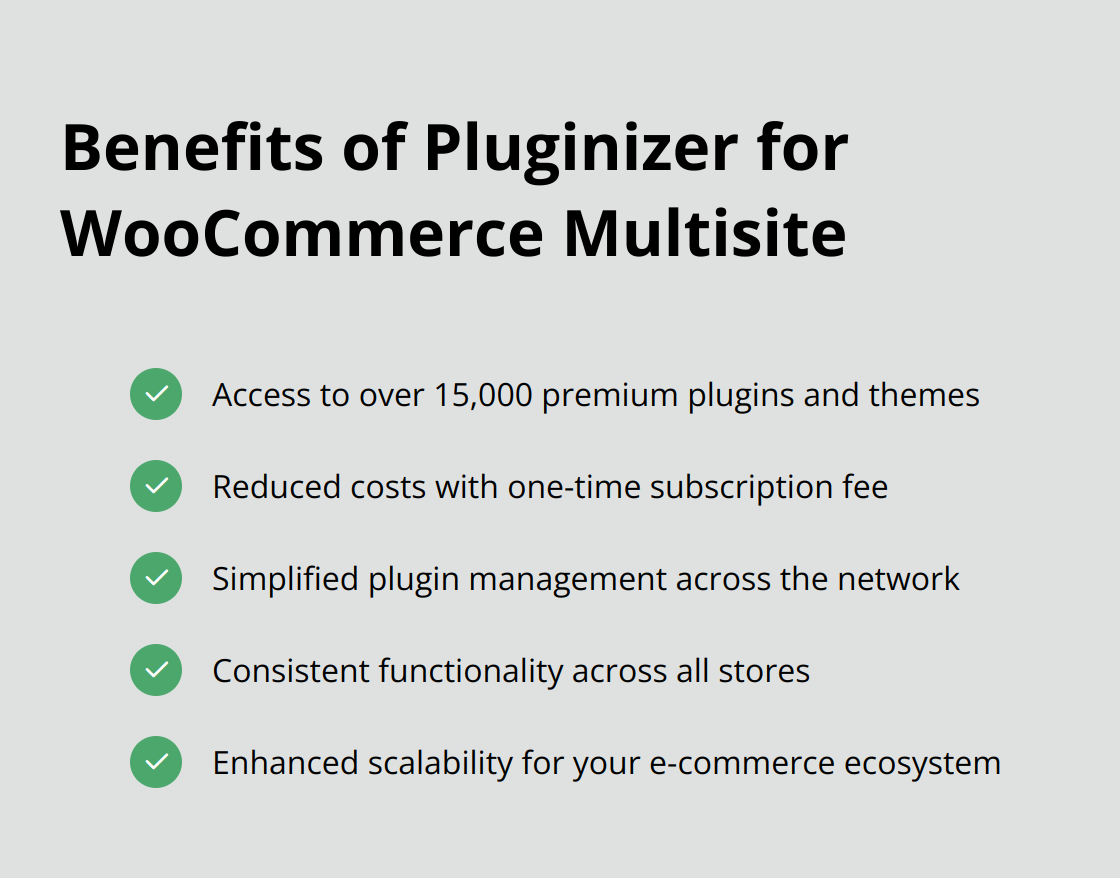 Checkmark list showing 5 benefits of using Pluginizer for WooCommerce Multisite: Access to premium plugins, Cost reduction, Simplified management, Consistent functionality, Enhanced scalability