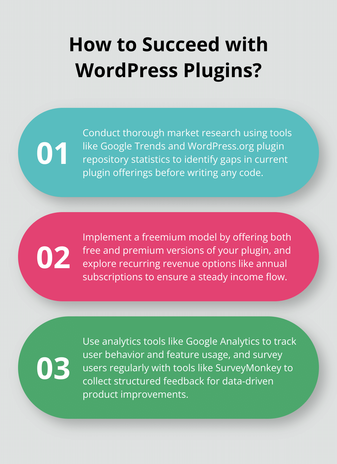 Infographic: How to Succeed with WordPress Plugins? - wordpress plugins without business plan